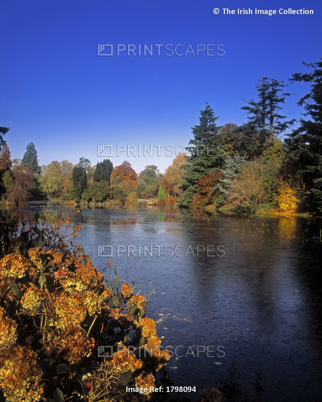 Altamont Garden, Co Carlow, Ireland; The Lake At Altamont