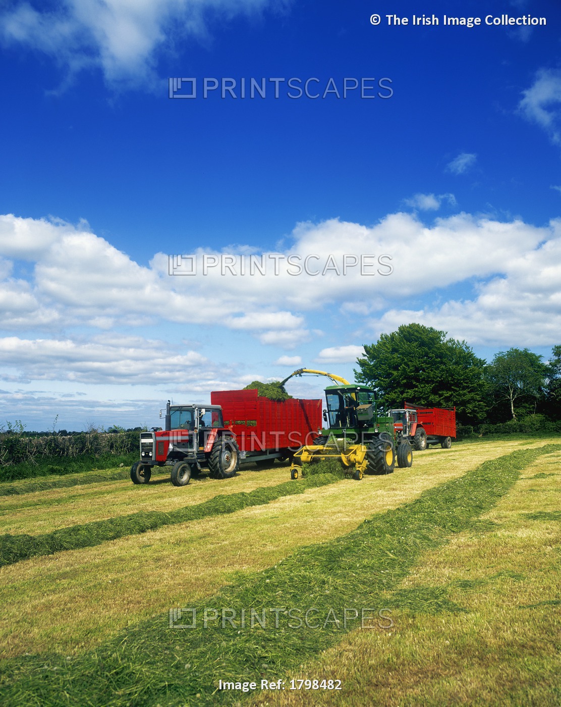 Combine Harvesters In A Field, Portlaoise, County Laois, Republic Of Ireland
