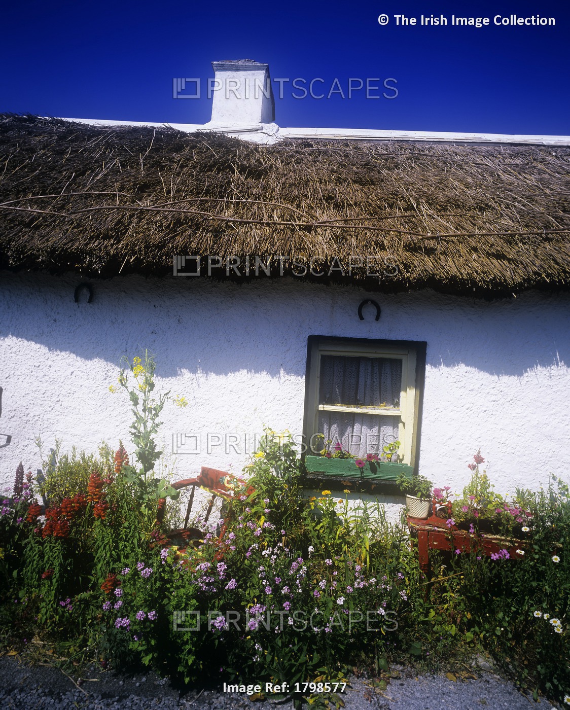 Flower Bed In Front Of A Cottage, Kilmore West, Dublin, Republic Of Ireland