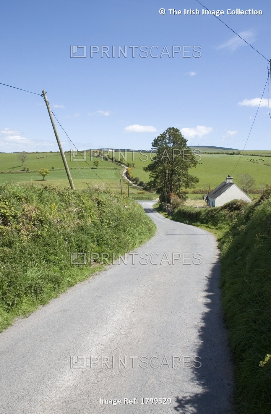 Country Road, Drum Hills, Co Waterford, Ireland