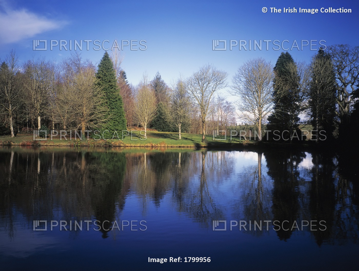 Dun Na Ri Forest Park, Kingscourt, Co Cavan, Ireland