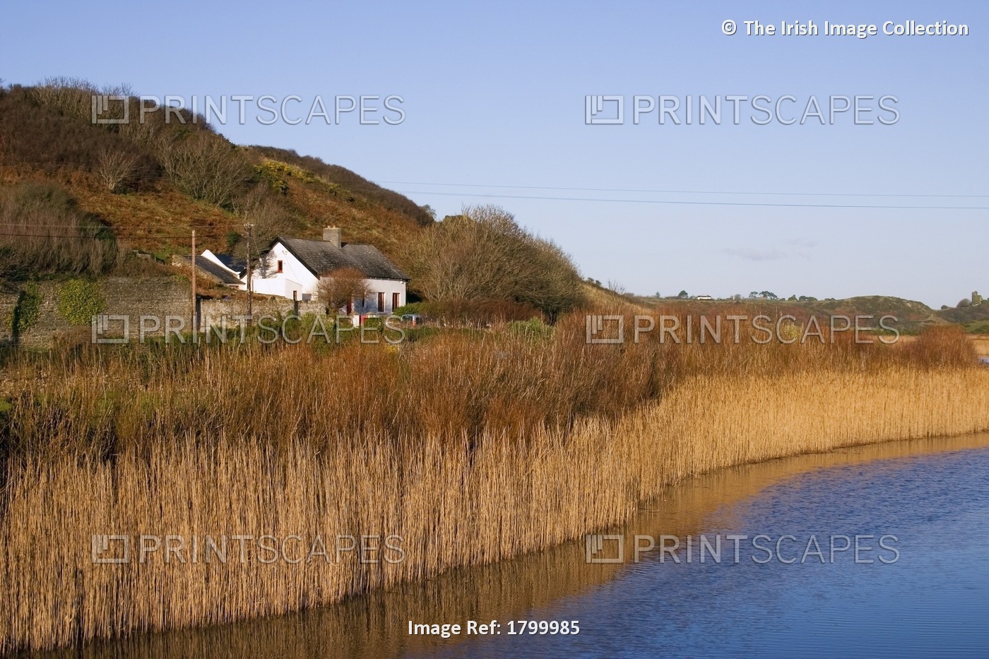 Anne River, Annestown, Co Waterford, Ireland; Cottage Near A River