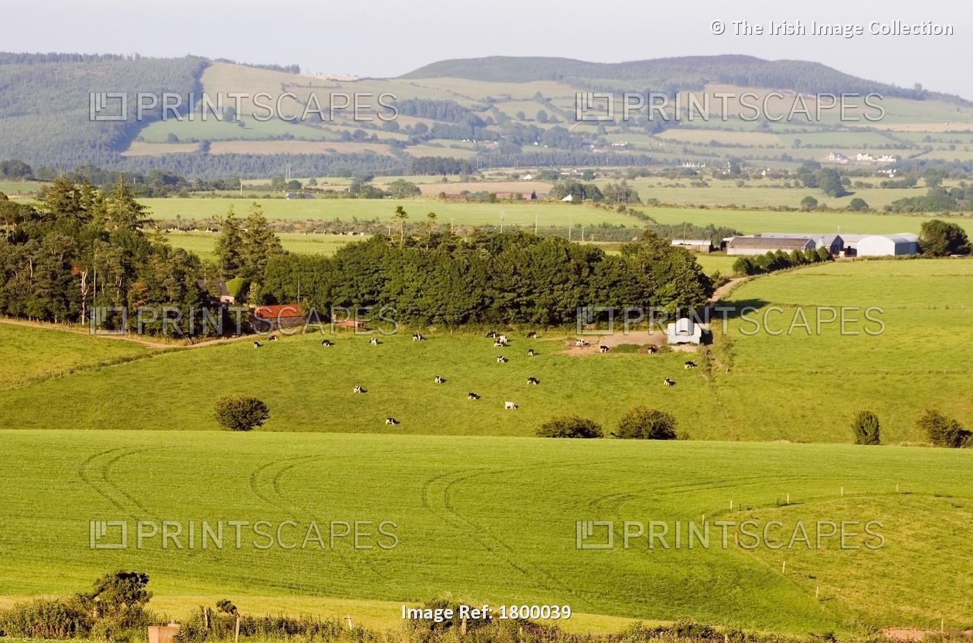 Co Waterford, Ireland; Landscape Near Croaghaun