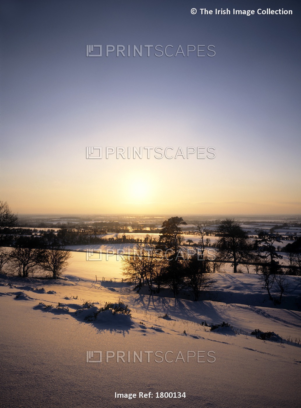 Winter Scene, Hill Of Tara, Co Meath, Ireland