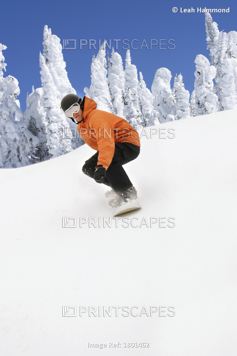 Snowboarder Going Down Snowy Hill