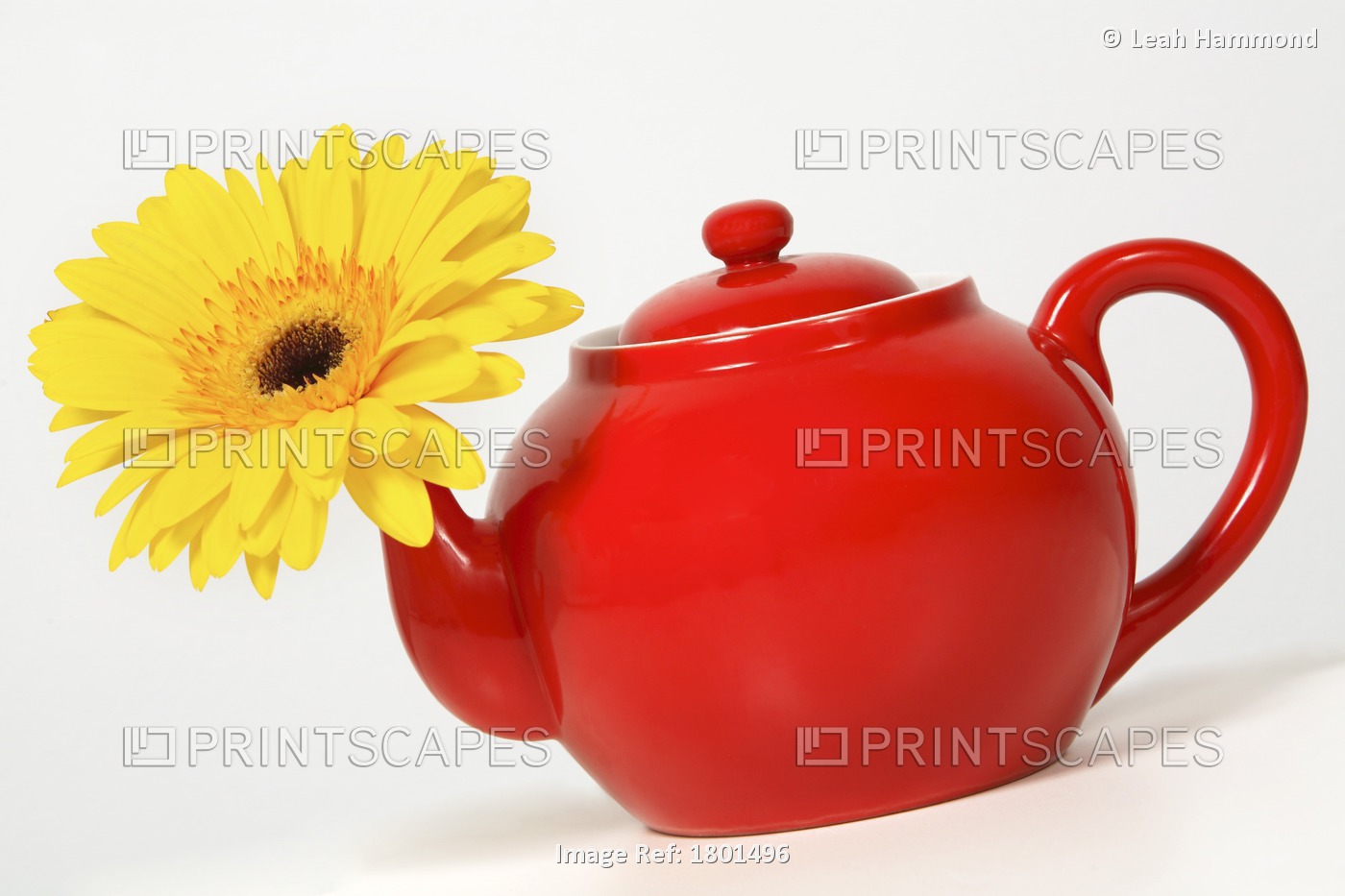 Yellow Flower In A Red Teapot