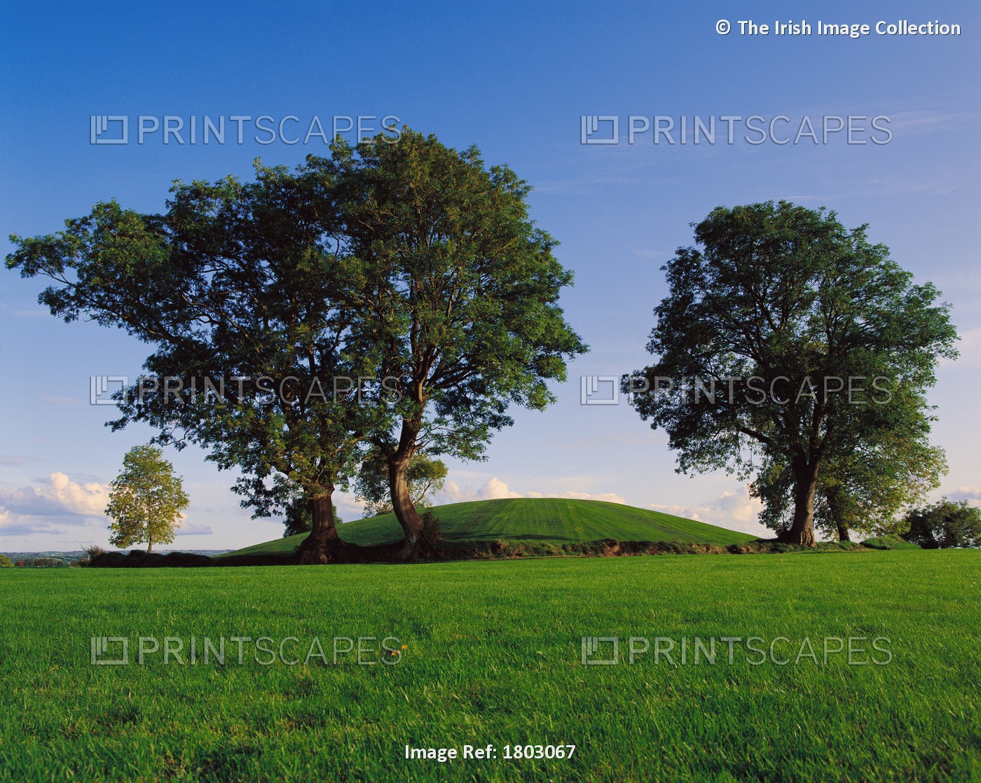 Navan Fort, Co Armagh, Ireland, Ancient Capital Of Ulster And Significant Site ...