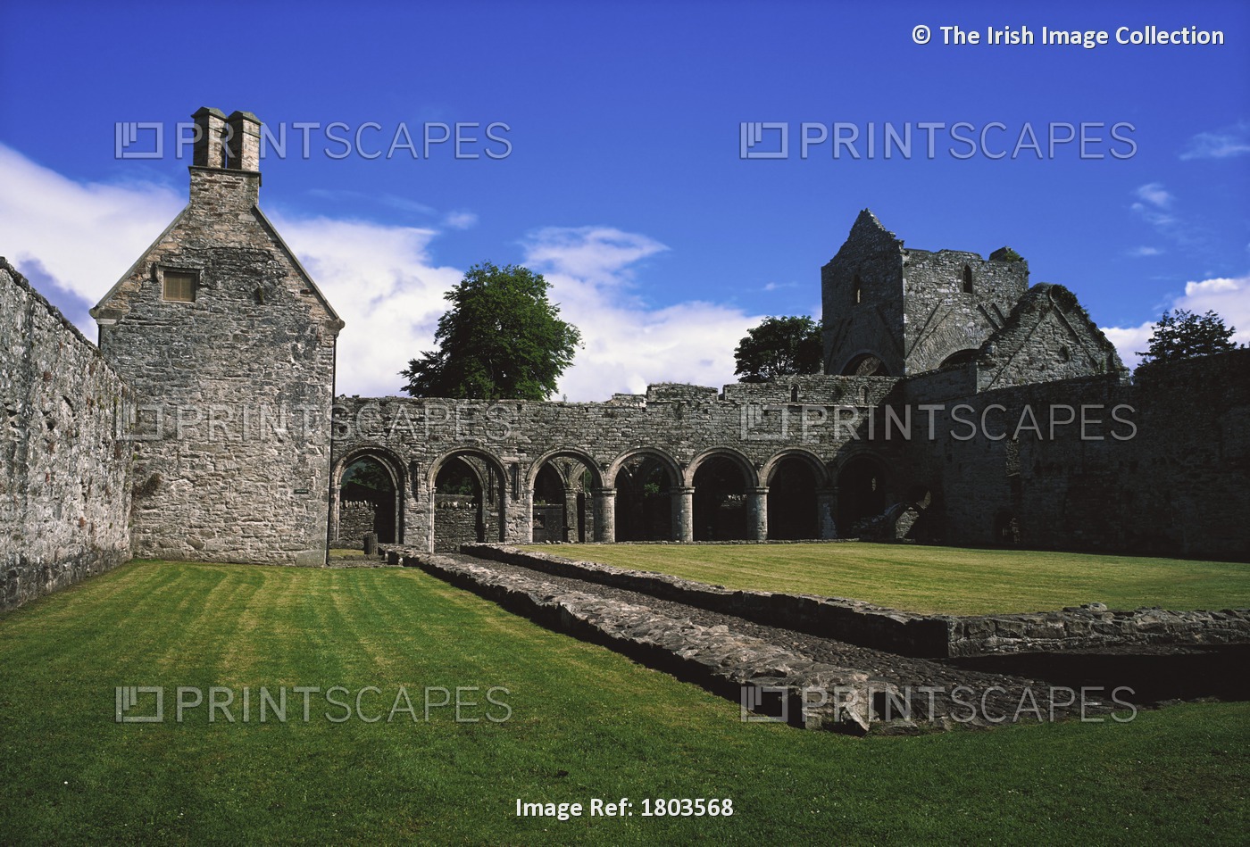 Boyle Abbey, Co Roscommon, Ireland