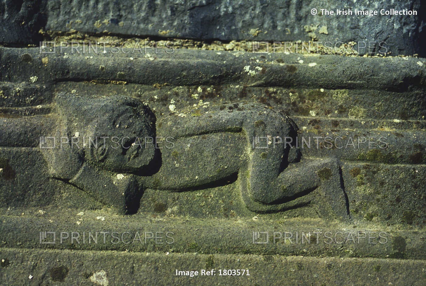 Stone Carving, Jerpoint Abbey, Co Kilkenny, Ireland