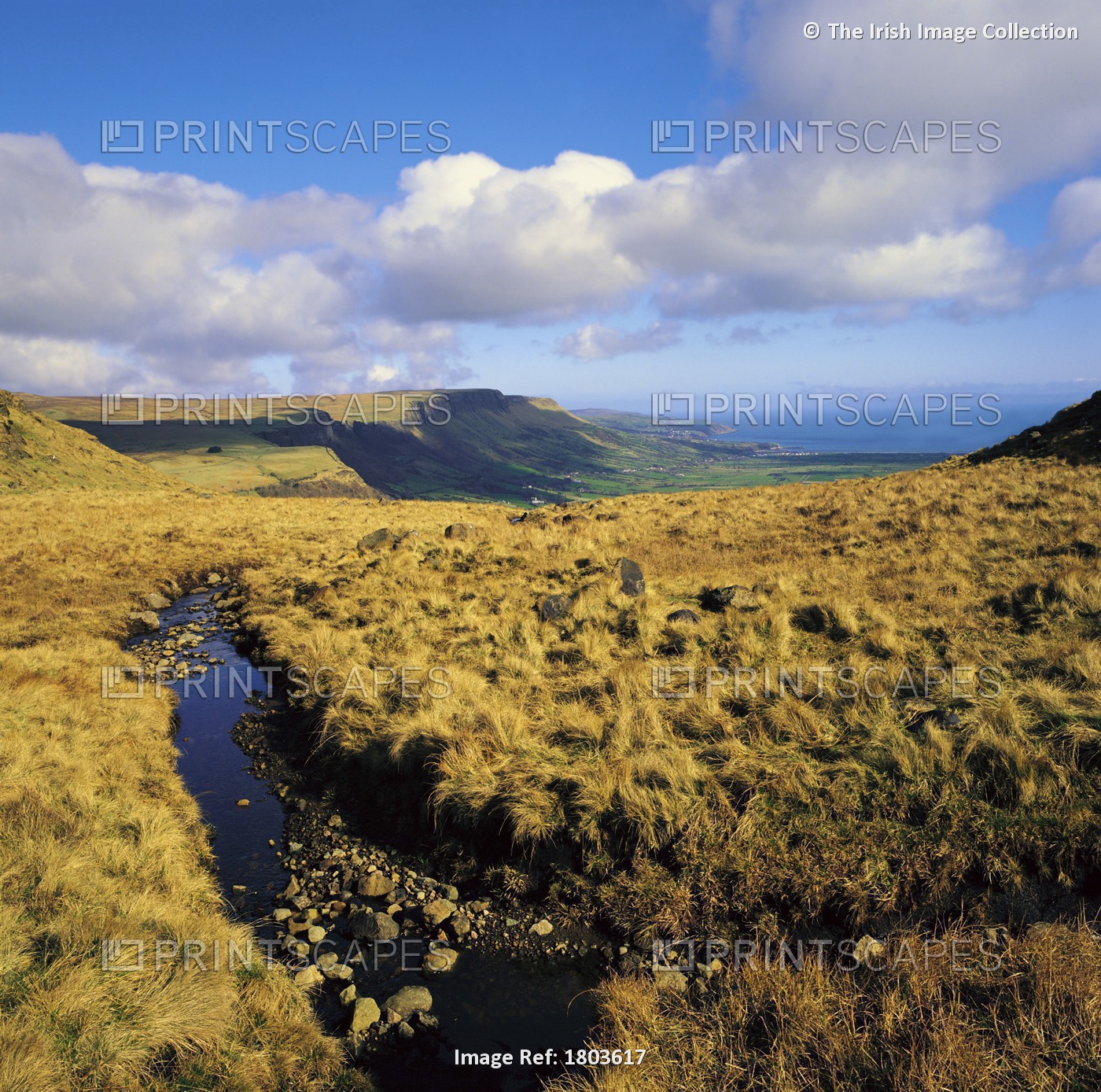 Glenariff, Glens Of Antrim, Co Antrim, Ireland; Plateau In One Of The Glens Of ...