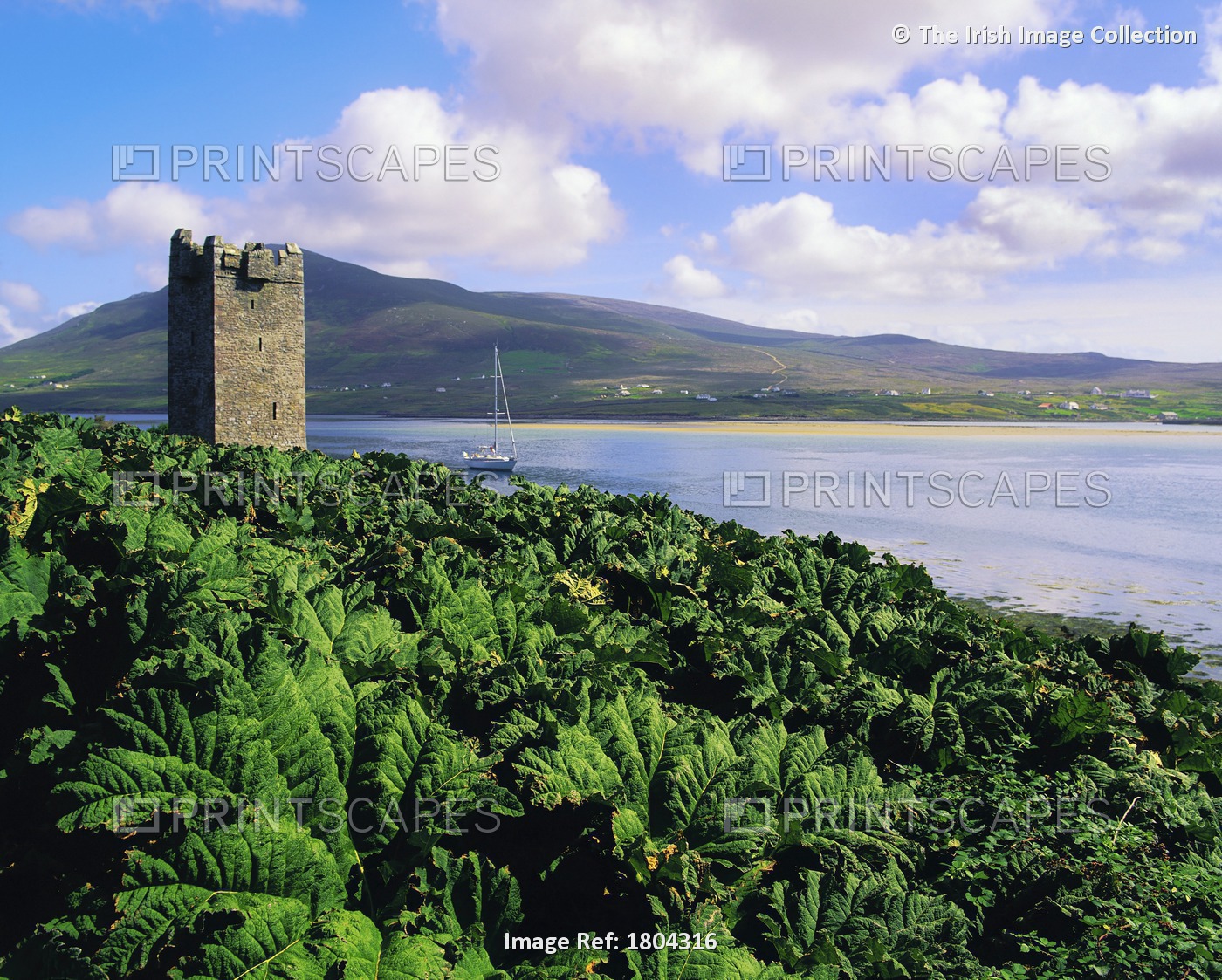 Kildownet Castle, Achill Island, Co Mayo, Ireland; Castle Occupied By Grace ...