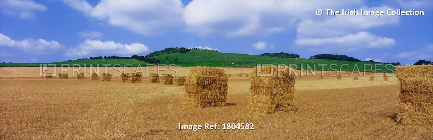 Co Laois, Ireland; Bales Of Straw Near Stradbally