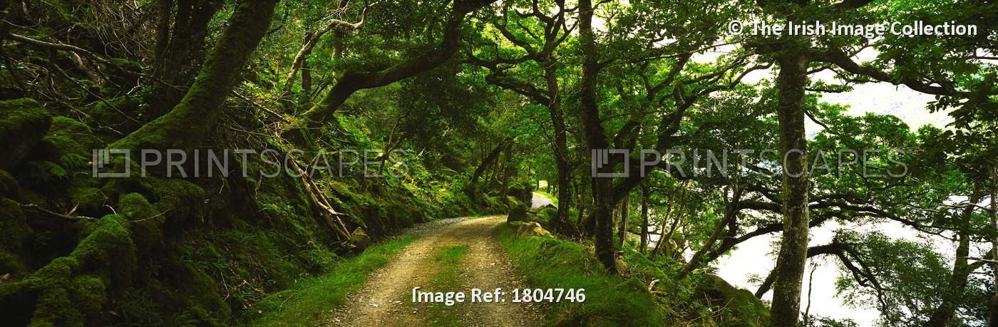 Lough Beagh, Glenveagh, Co Donegal, Ireland