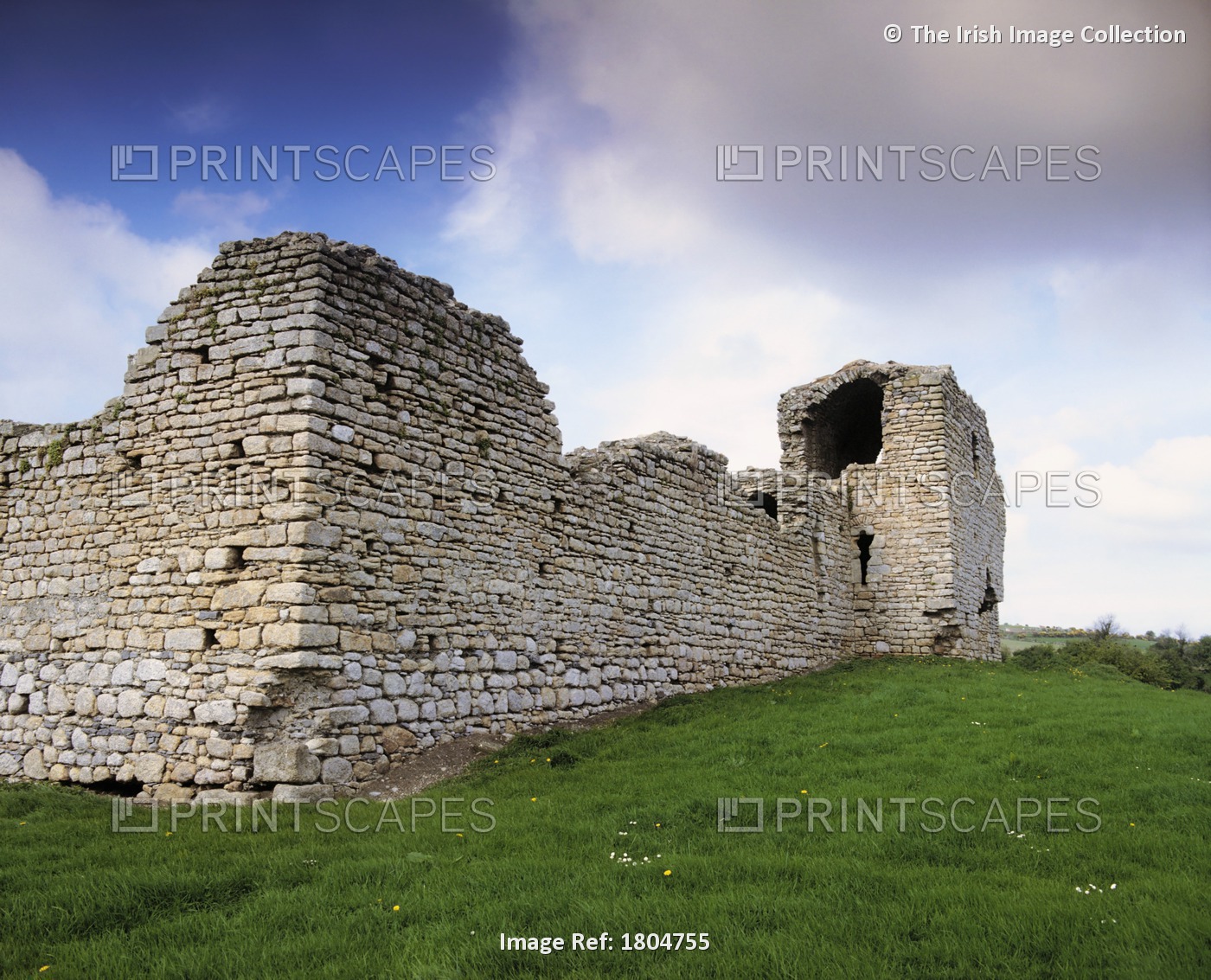 Ballyloughan Castle, Co Carlow, Ireland; 13Th Century Castle Ruins Near ...