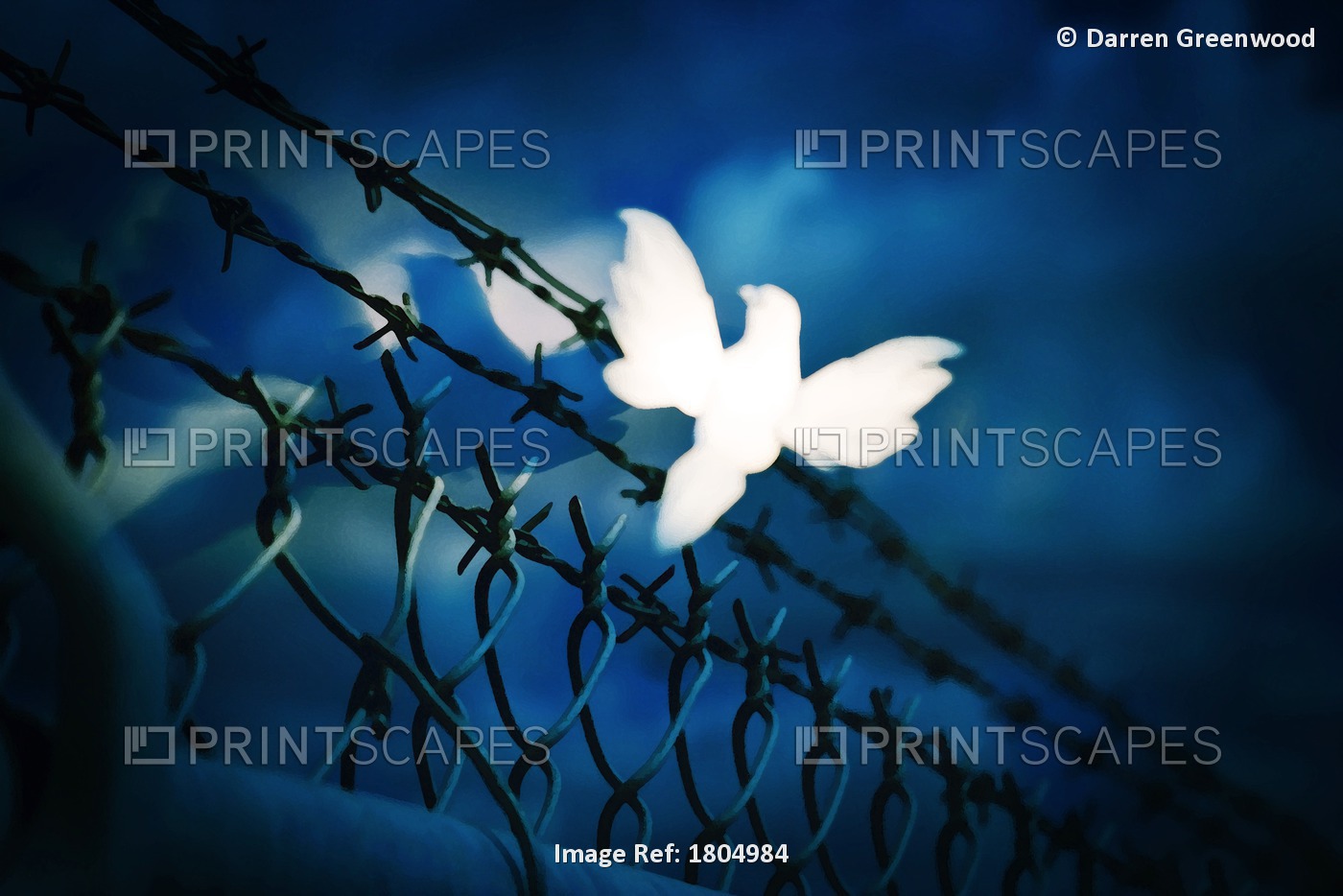 White Bird Sitting On Barbed Wire Fence