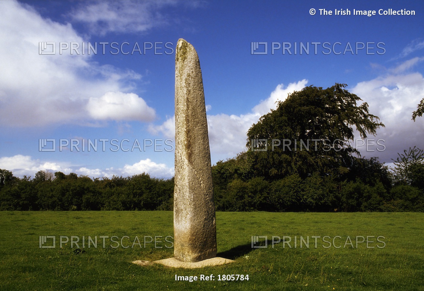 Punchestown, County Kildare, Ireland, Ireland's Tallest Standing Stone