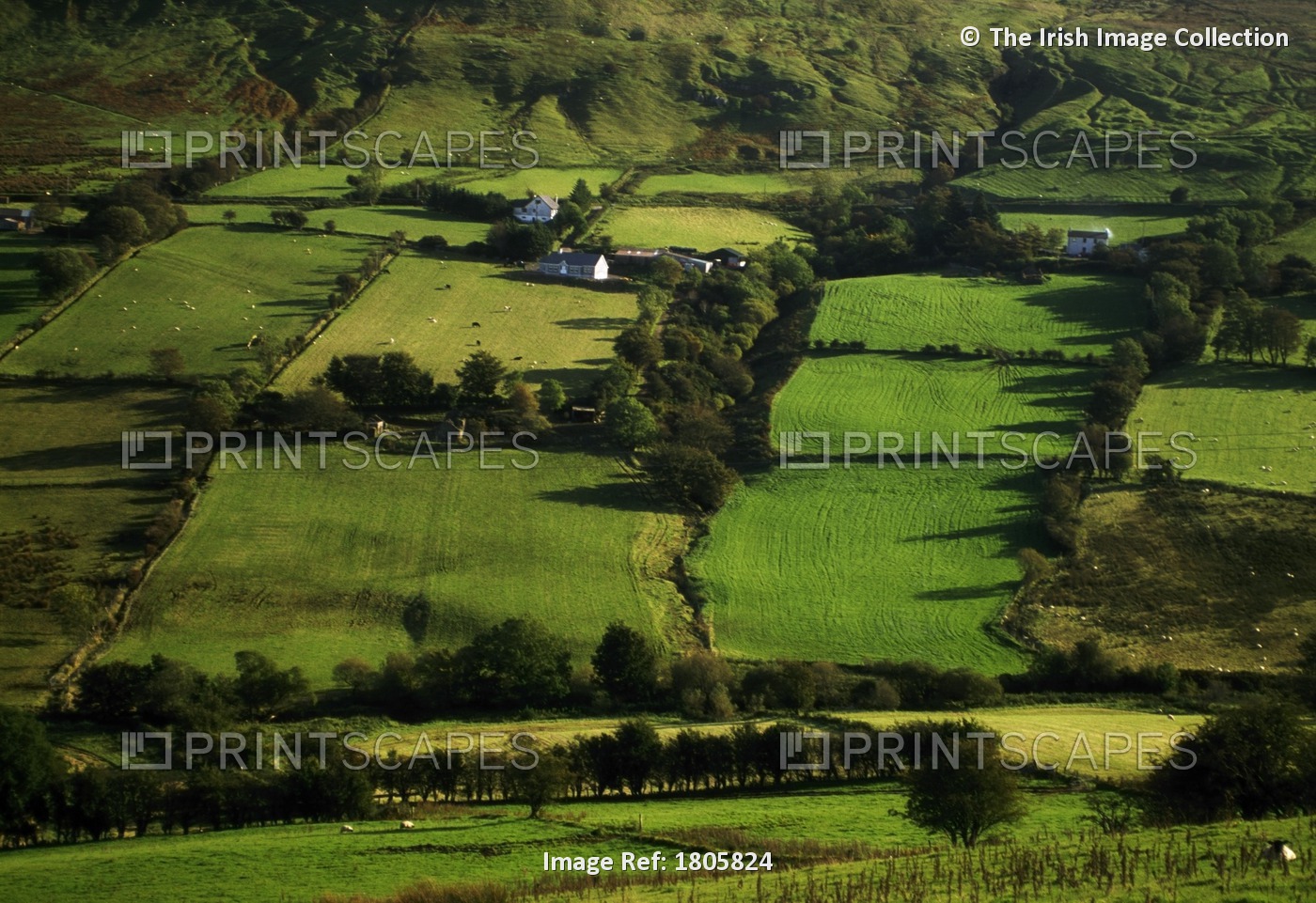 Glens Of Antrim, County Antrim, Ireland