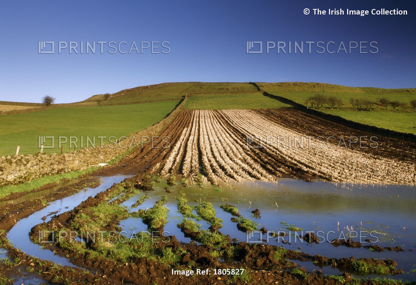 Flooding In A Field, The Glens, County Antrim, Ireland