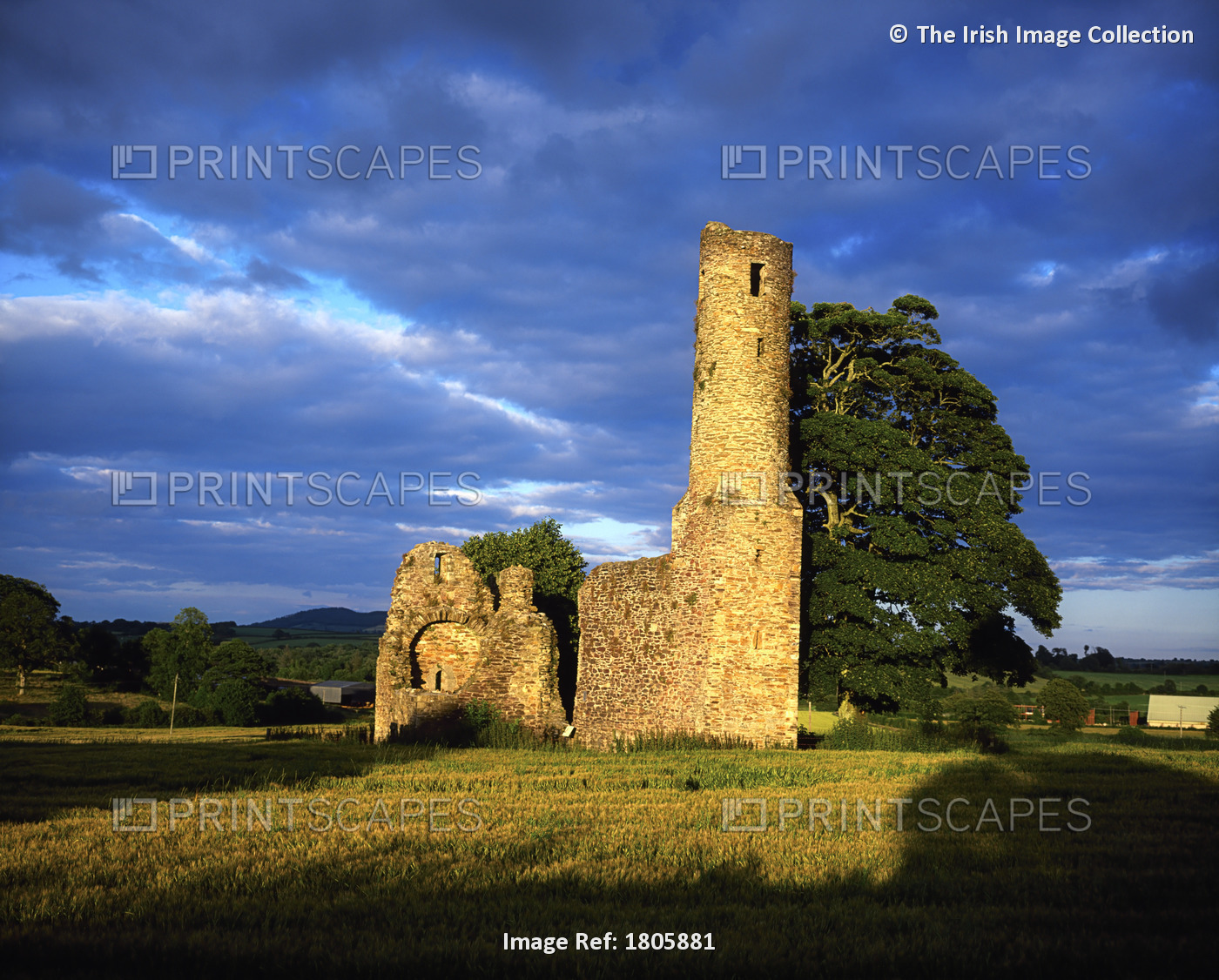 Saint Mary's Abbey, Bannow, County Wexford, Ireland