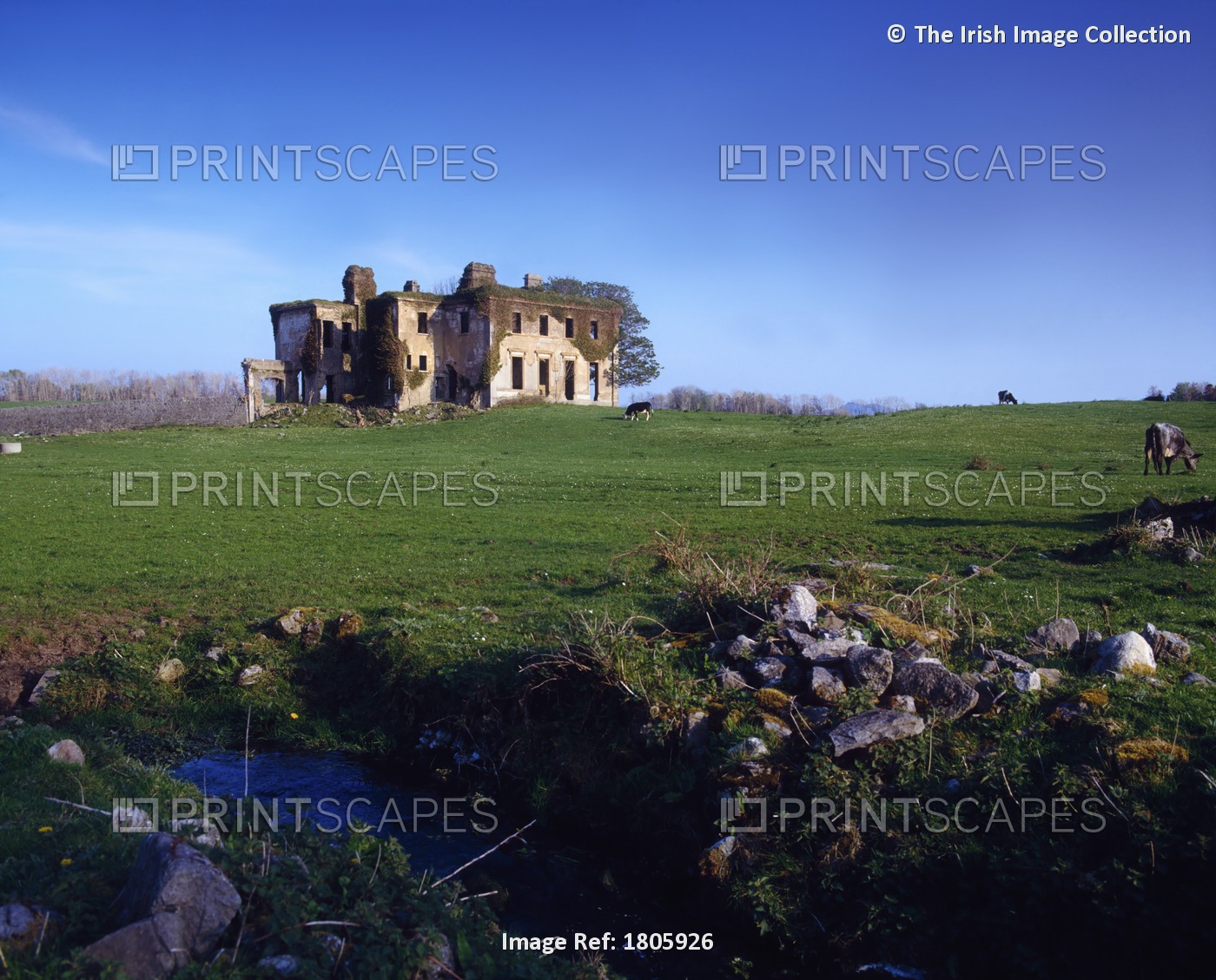 County Sligo, Ireland, Ruins Of Culleenamore House Near Knocknarea