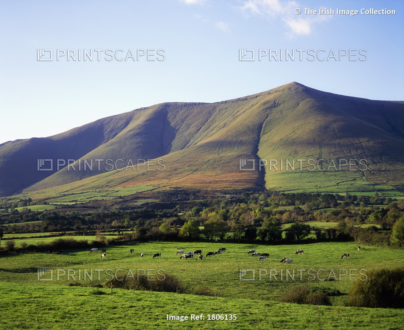 Galtee Mountains, County Tipperary, Ireland, Near Anglesborough