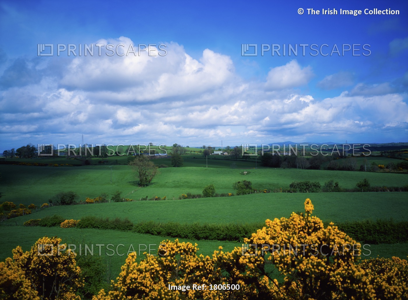 County Armagh, Ireland, Near Mountnorris