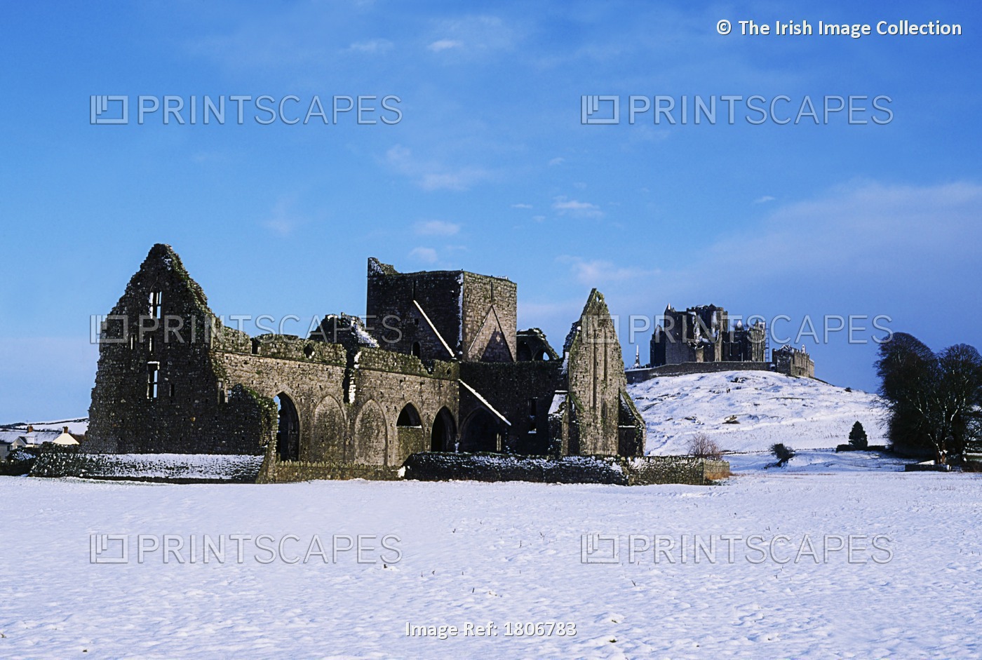 Hore Abbey, Co Tipperary, Ireland; Ruined Cistercian Monastery Near The Rock Of ...
