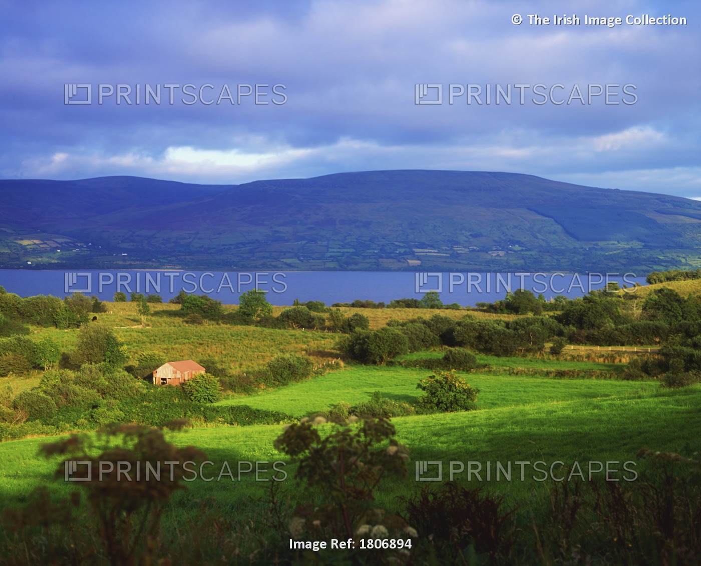 View Of County Leitrim And Lough Allen From County Roscommon, Ireland