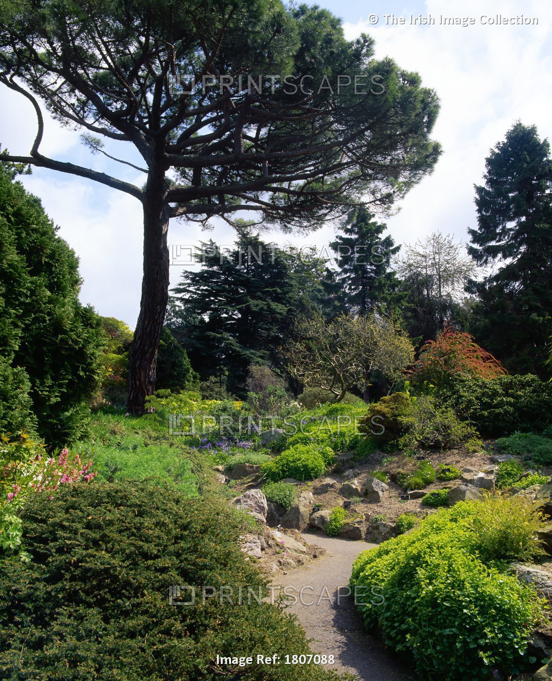 Irish National Botanic Gardens, Dublin, Co Dublin, Ireland