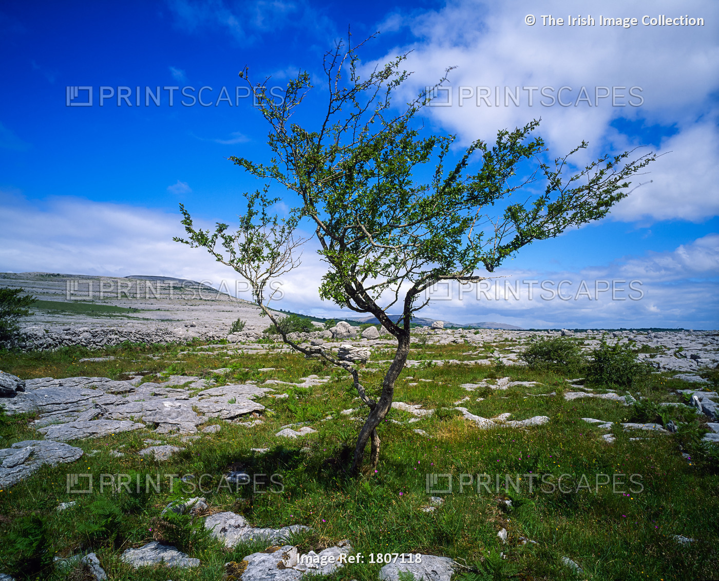 The Burren, Co Clare, Ireland; Karst-Landscape Region