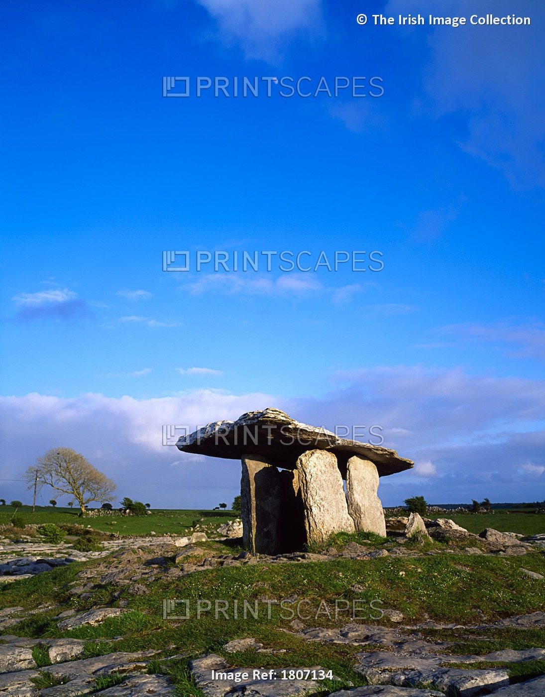 Poulnabrone Dolmen, The Burren, Co Clare, Ireland