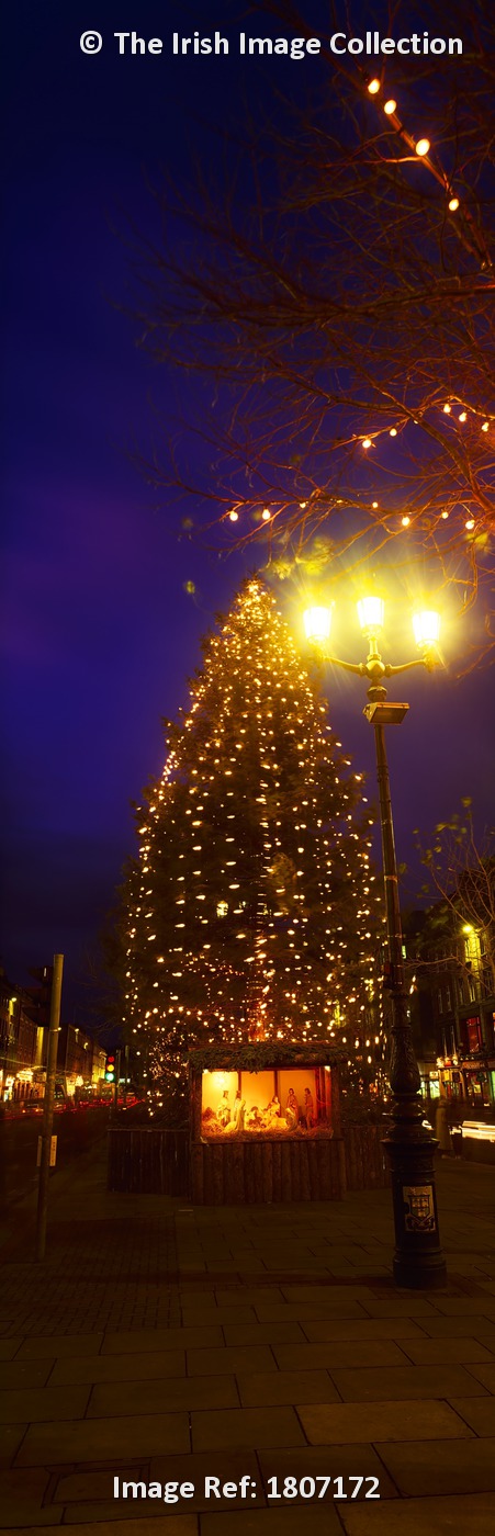 Christmas Tree And Nativity, O'connell Street, Dublin City, Ireland