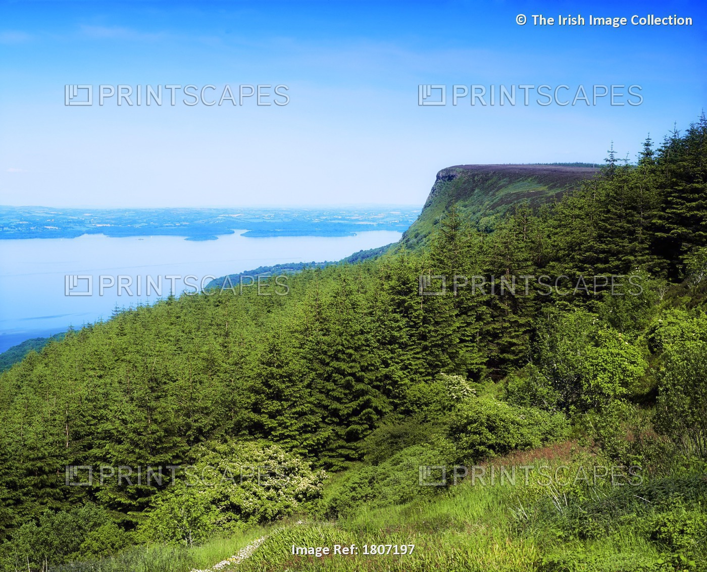 Cliff Over Lake, Cliffs Of Magho; Cliffs Of Magho, Lough Navar Forest Park, ...