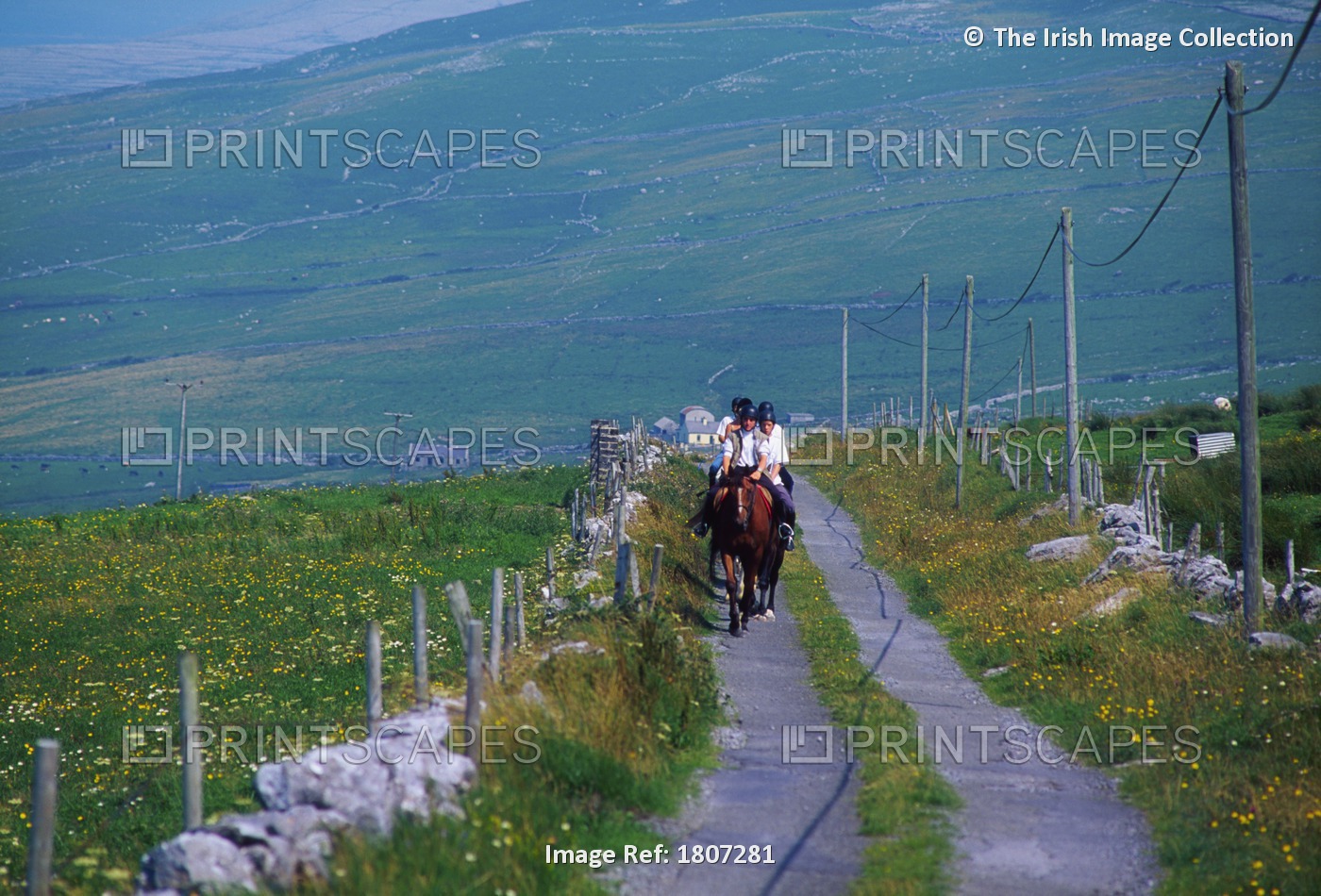 Co Clare, Ireland; Pony Trekking