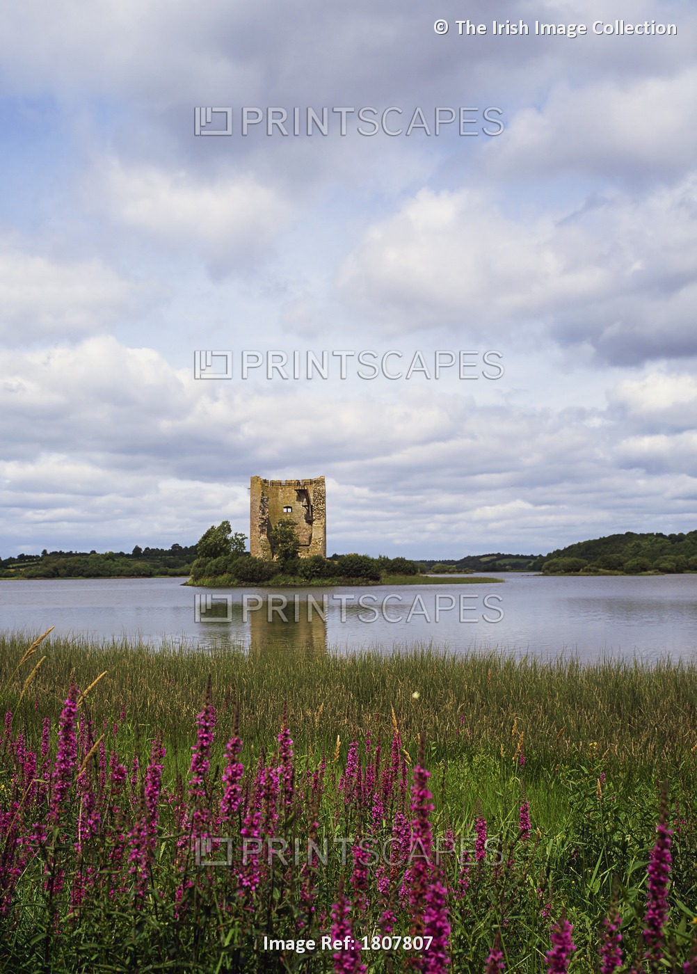 Cloughoughter Castle, Co Cavan, Ireland; 13Th Century Castle Built On The ...