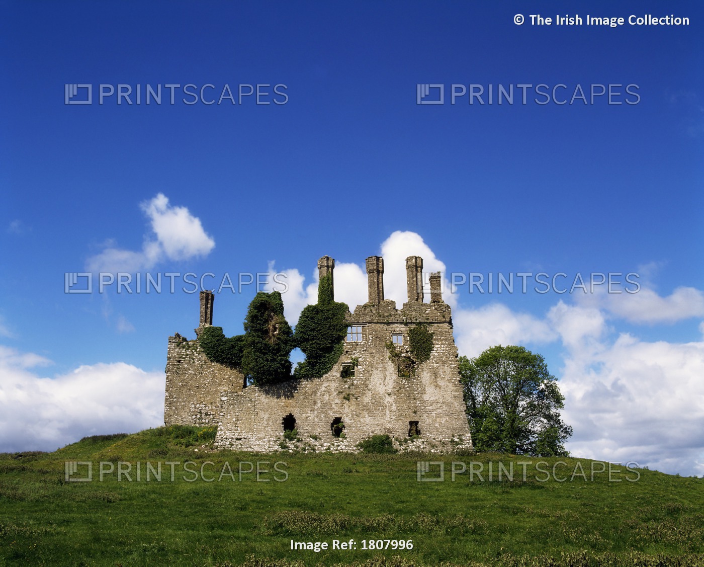 Carbury Castle, Co Kildare, Ireland; Medieval Castle