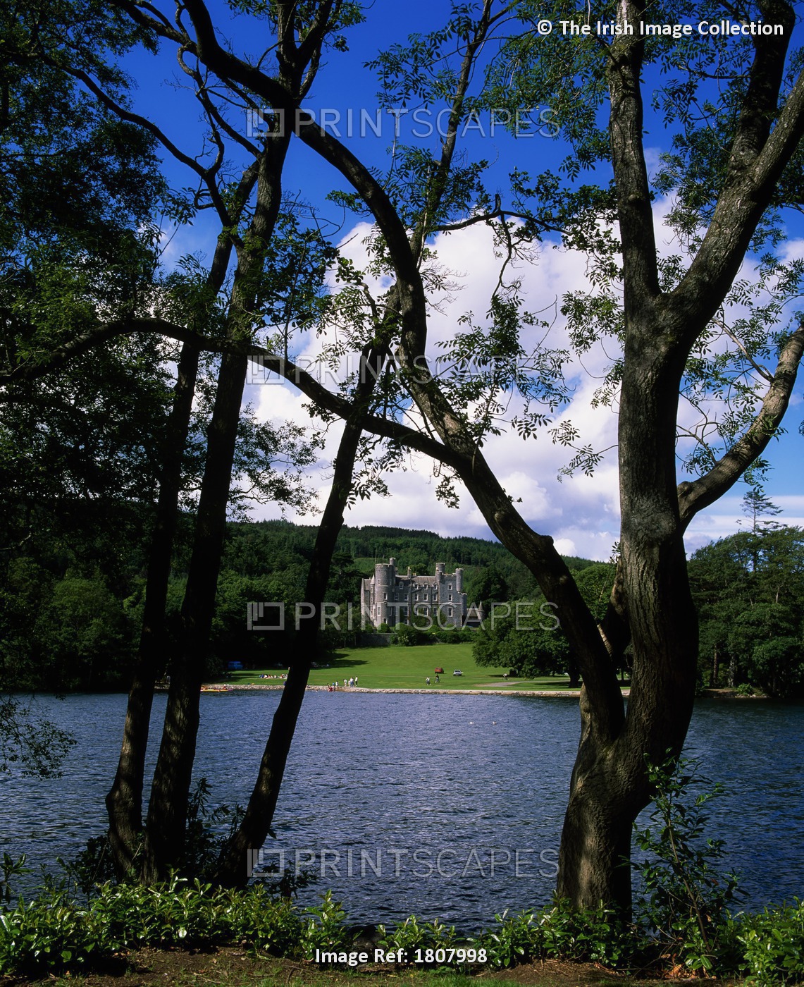 Castlewellan Lake And Forest Park, Castlewellan, Co Down, Ireland; Castlewellan ...