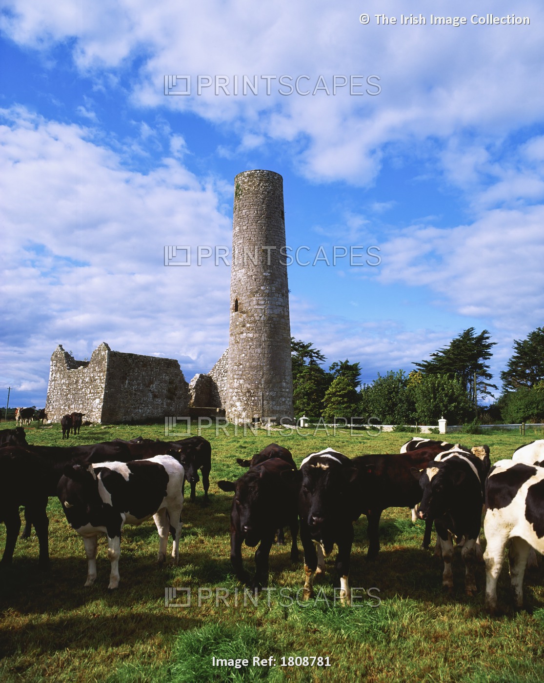 Dysert Aenghusa, Croom, Co Limerick, Ireland; 15Th Century Church And 13Th ...