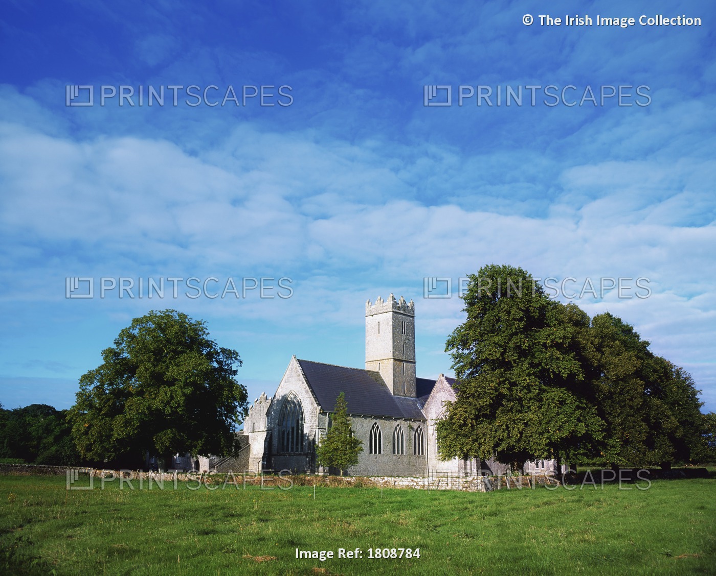 Adare, Co Limerick, Ireland; Medieval Abbey