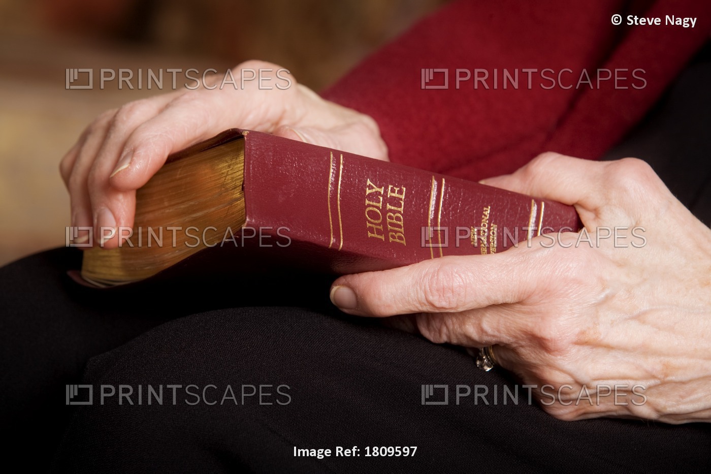 Woman Holding A Bible