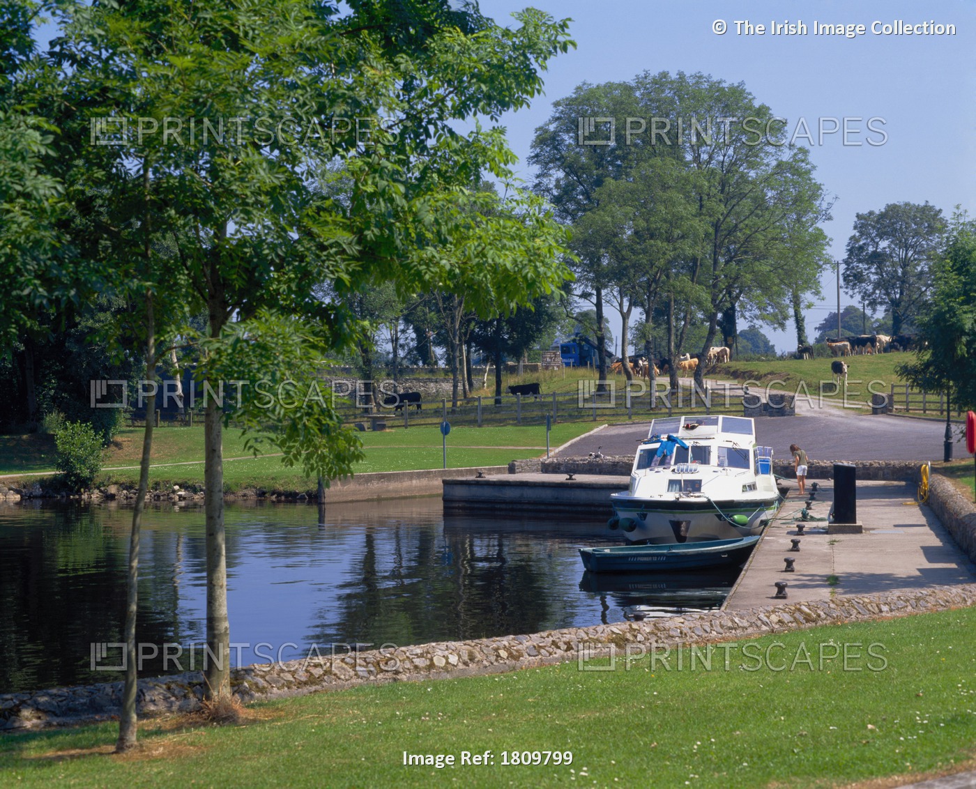 River Cruising, Shannon Erne Waterway, Haughtons Shore, County Leitrim, Ireland