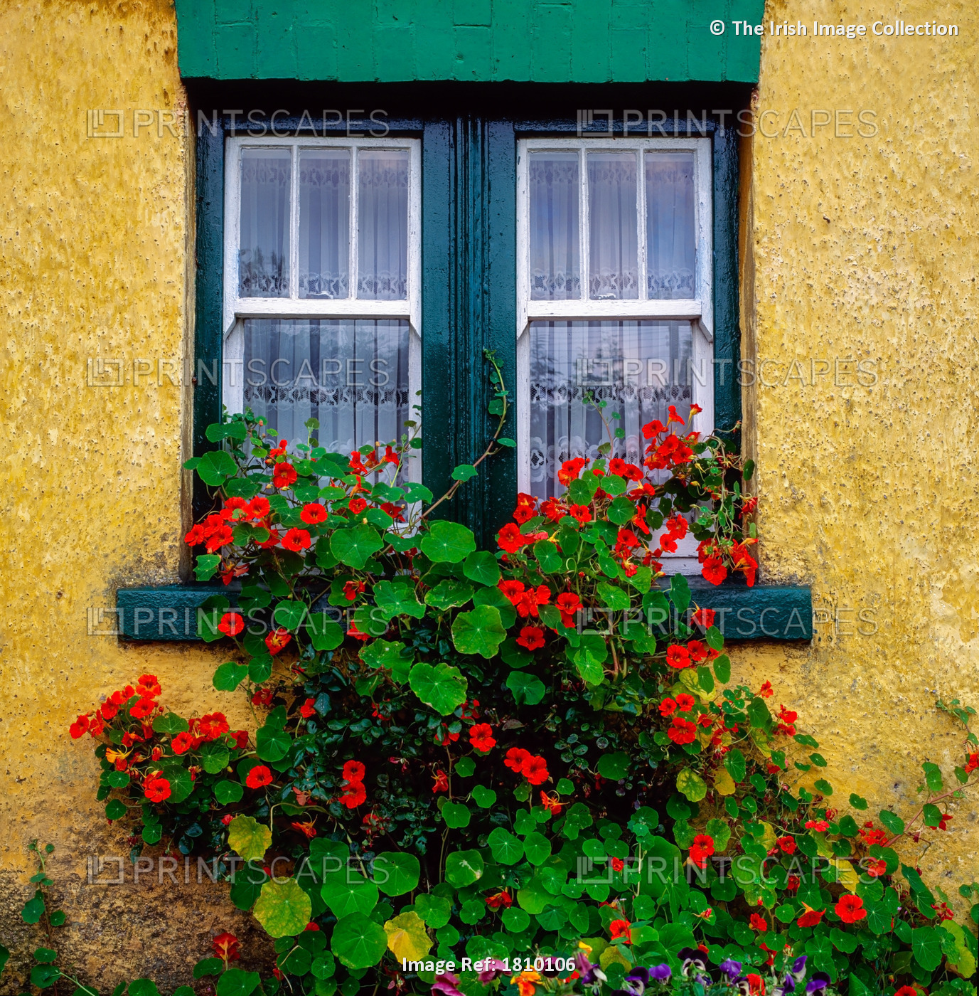 Cottage Window, Co Antrim, Ireland