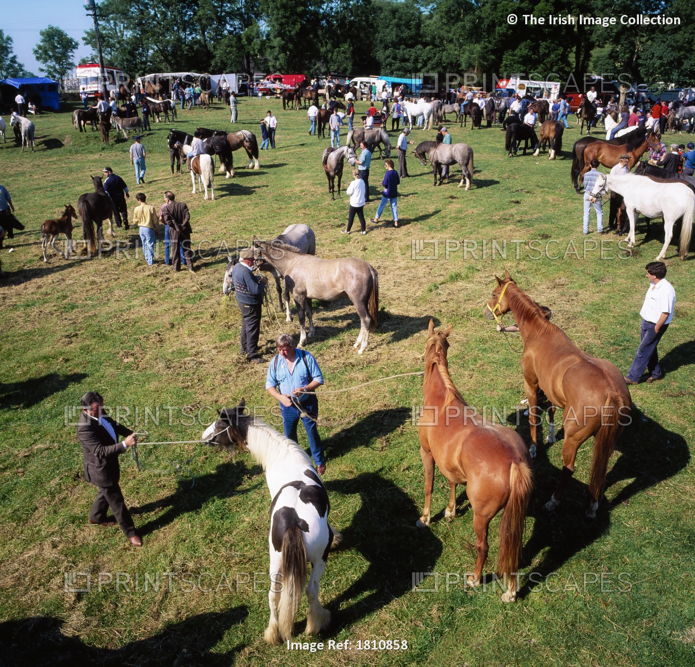 Spancill Hill Horse Fair, Co Clare, Ireland; People At A Horse Fair
