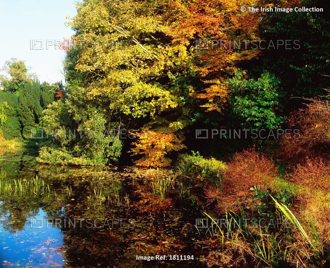 Altamont Garden, Co Carlow, Ireland; Lake And Foliage During Autumn