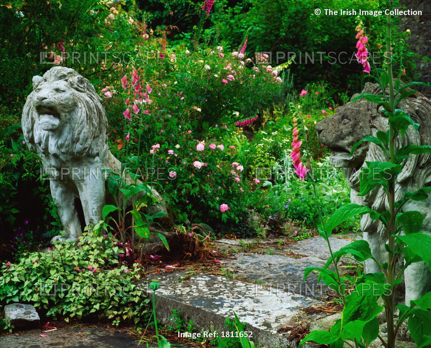 Carrigglas Manor, Co Longford, Ireland; Informal Planting And Stone Lion During ...