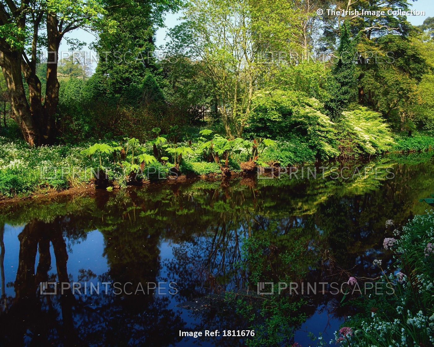 Mount Usher Gardens, River Vartry, Co Wicklow, Ireland