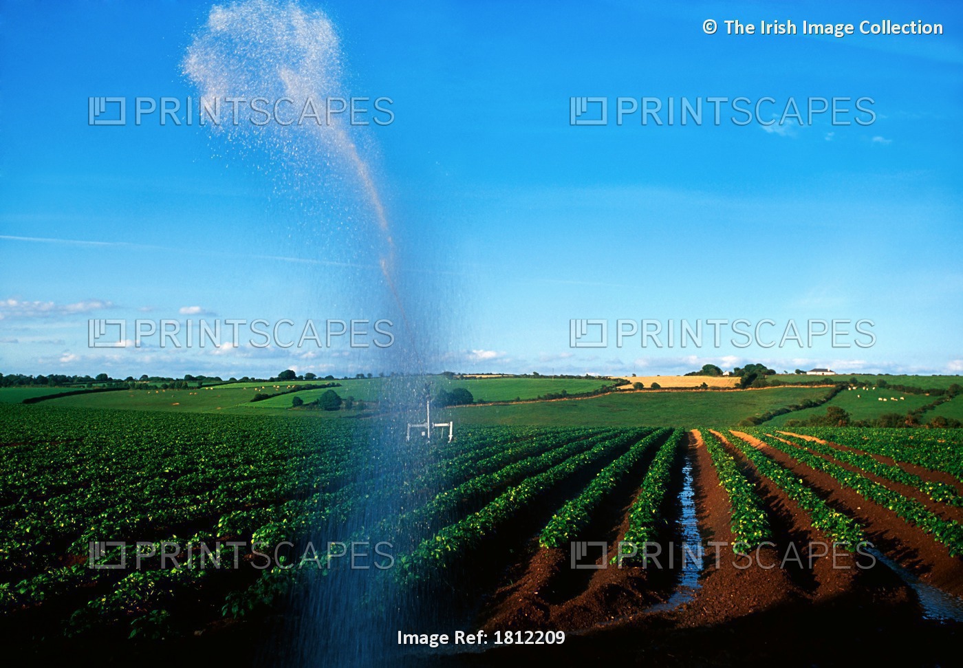 Farm Irrigation, County Waterford, Ireland