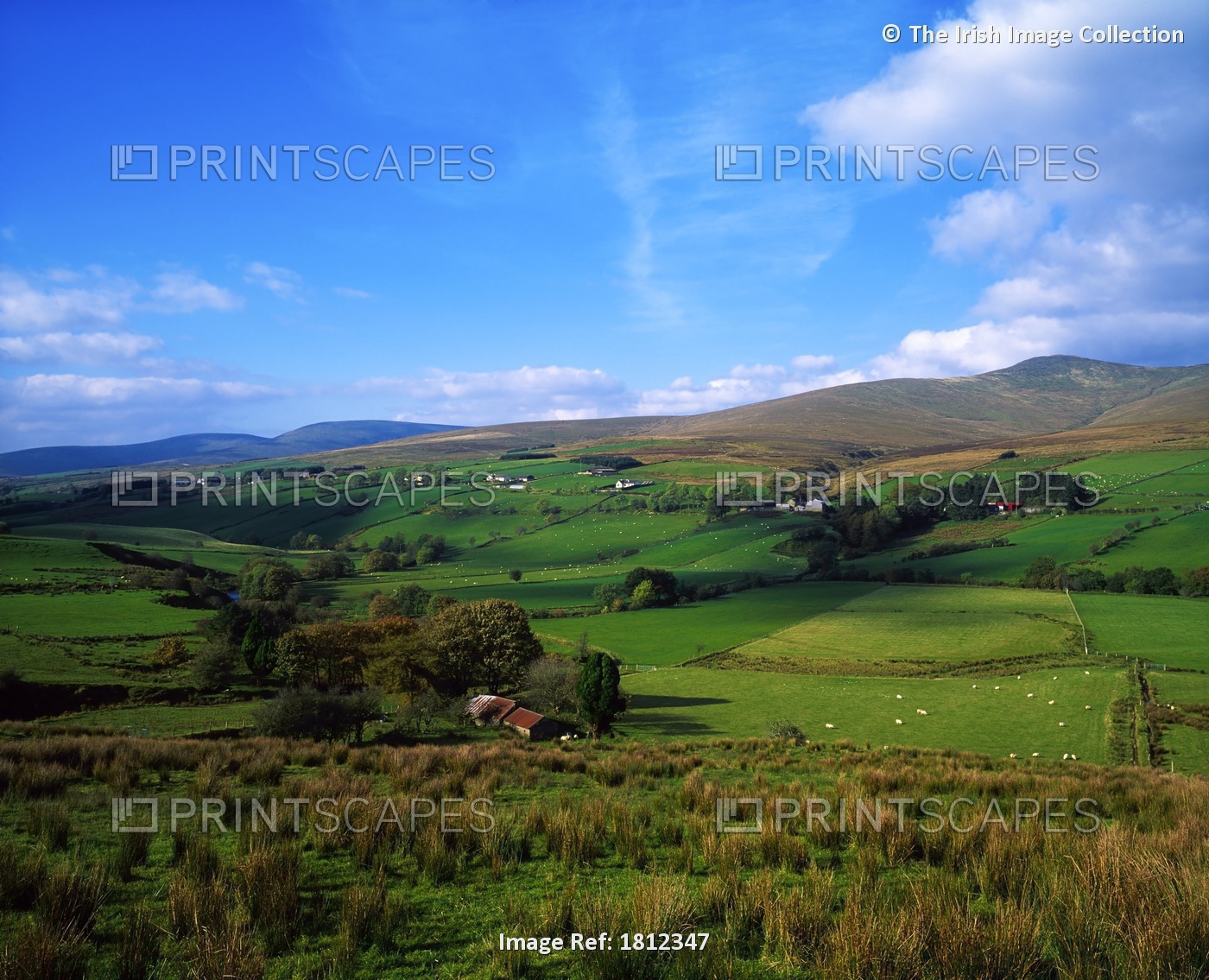 Sperrin Mountains, Co Tyrone, Ireland