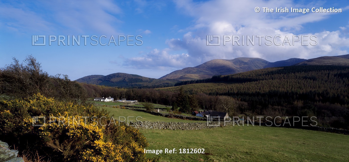 Mountain Farm, Near Tullymore Forest, Mountains Of Mourne, Co Down, Ireland