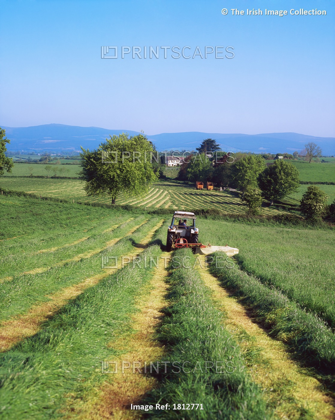 Cutting Silage, Golden Vale, Mitchelstown, Co Tipperary, Ireland